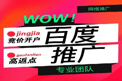 案例分析：竞价推广助力企业打造爆款产品